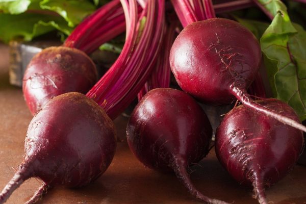 Beta vulgaris