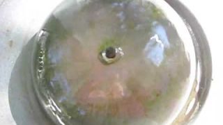 Take a Minute with Water