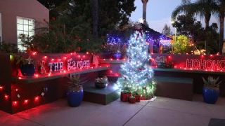 Garden Nights, Holiday Lights