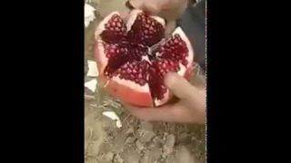 How To Deseed a Pomegranate
