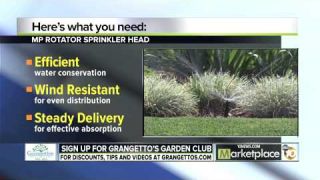 MP Rotators and Conserving Water in Your Landscape