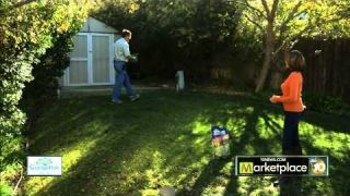 Prevening Weeds in Lawns
