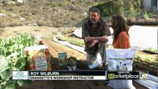 Planting Winter Veggies