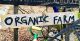 Organic Gardening