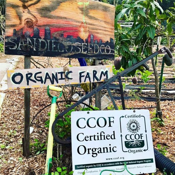 San Diego Seed Company