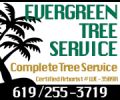 Evergreen Tree Specialist
