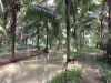 Zenyr Garden