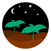 Learn Dirt